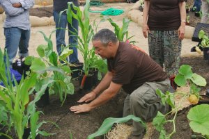 getting the three sisters all hooked up